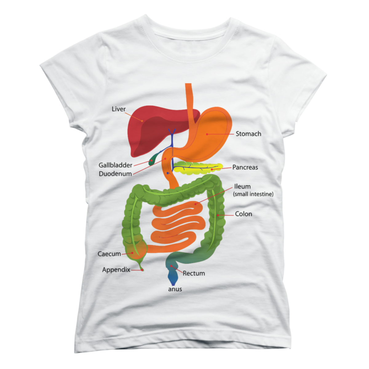 digestive system t shirts digestive system t shirts